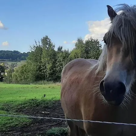 L'abri De La Chouette - Au Pays Des Collines - Gr129 منزل ريفي *