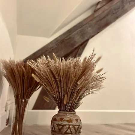 L'abri De La Chouette - Au Pays Des Collines - Gr129 منزل ريفي Frasnes-lez-Anvaing