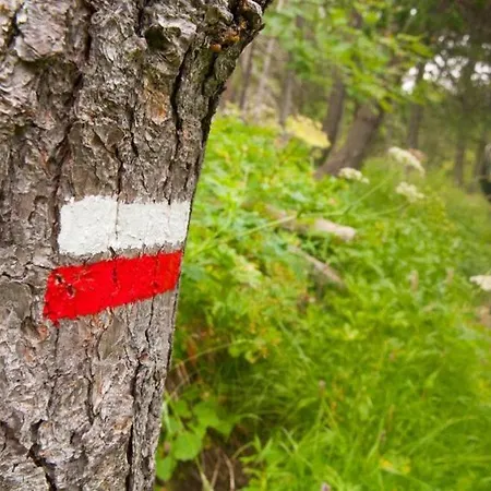 L'abri De La Chouette - Au Pays Des Collines - Gr129 *