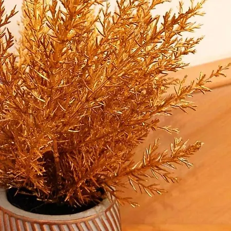 L'abri De La Chouette - Au Pays Des Collines - Gr129