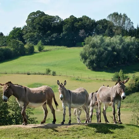 L'abri De La Chouette - Au Pays Des Collines - Gr129 * Frasnes-lez-Anvaing