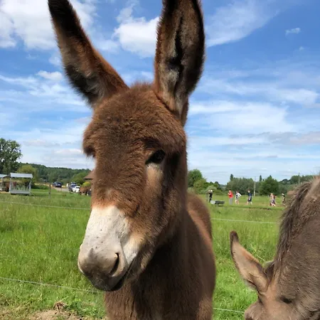 L'abri De La Chouette - Au Pays Des Collines - Gr129 منزل ريفي *
