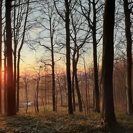 L'abri De La Chouette - Au Pays Des Collines - Gr129