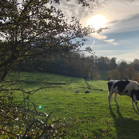 L'abri De La Chouette - Au Pays Des Collines - Gr129 Landhaus