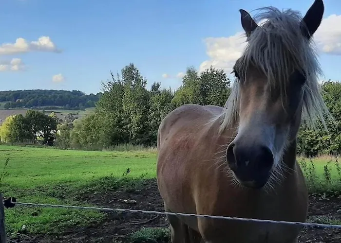 L'abri De La Chouette - Au Pays Des Collines - Gr129 Landhaus *