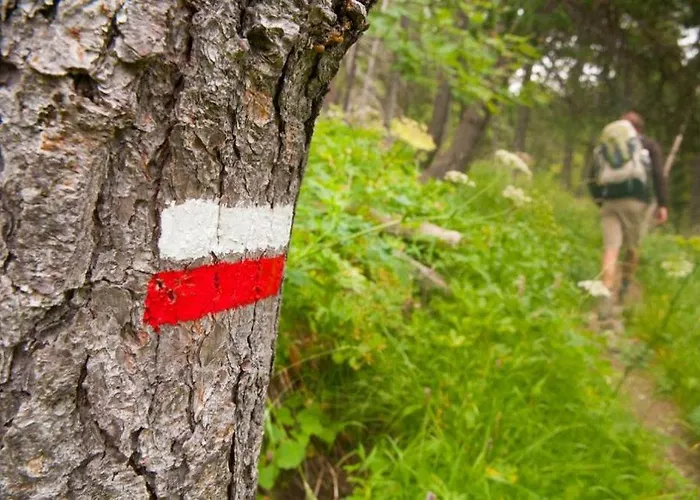 L'abri De La Chouette - Au Pays Des Collines - Gr129 *