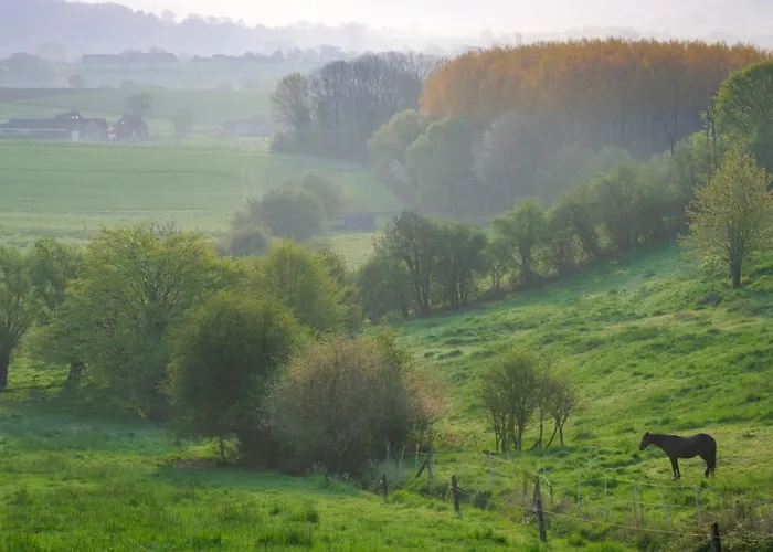 L'abri De La Chouette - Au Pays Des Collines - Gr129 Frasnes-lez-Anvaing