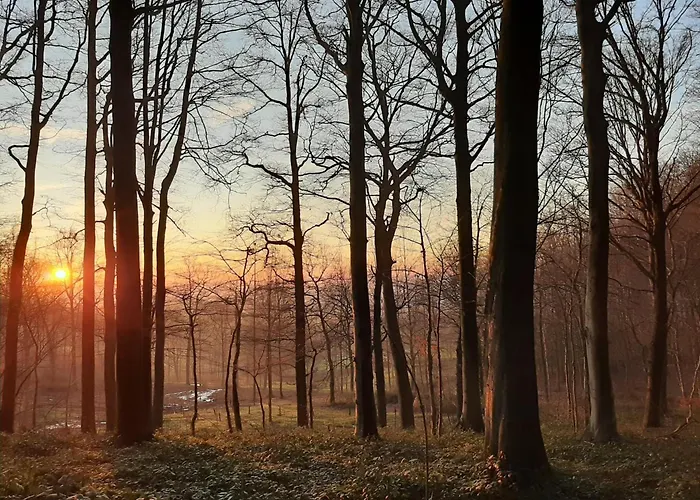 L'abri De La Chouette - Au Pays Des Collines - Gr129